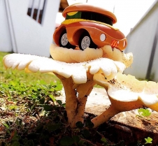 Mushroomsam