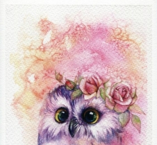 Owl11