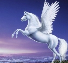 Pegasus140
