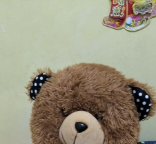 brownie
