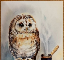 NightOwl