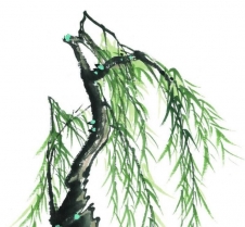 CastroQiu