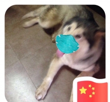 Liuhaozhe